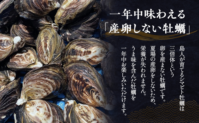 【 小豆島 】小豆島産 シマビト牡蠣 生食用殻付き牡蠣 50個 牡蠣 カキ 生牡蠣 生食用 殻付き シマビト 香川県