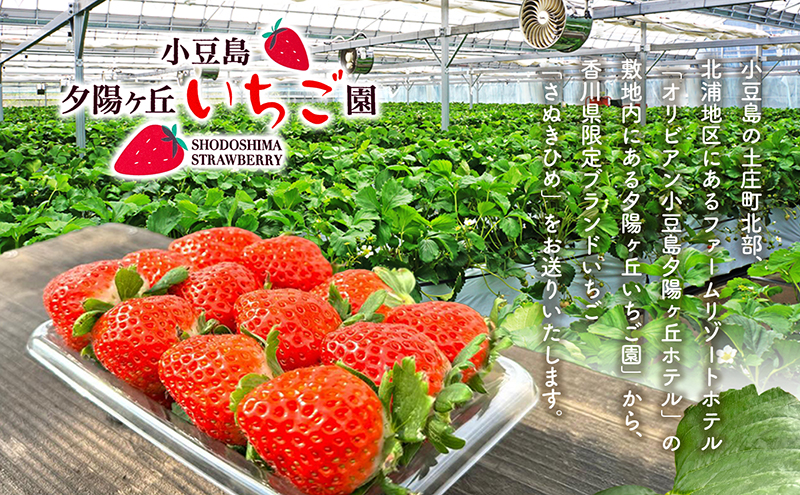 【 小豆島 】小豆島夕陽ヶ丘 いちご 2パック入り さぬきひめ 苺 イチゴ 果物 フルーツ 香川 香川県 土庄 土庄町