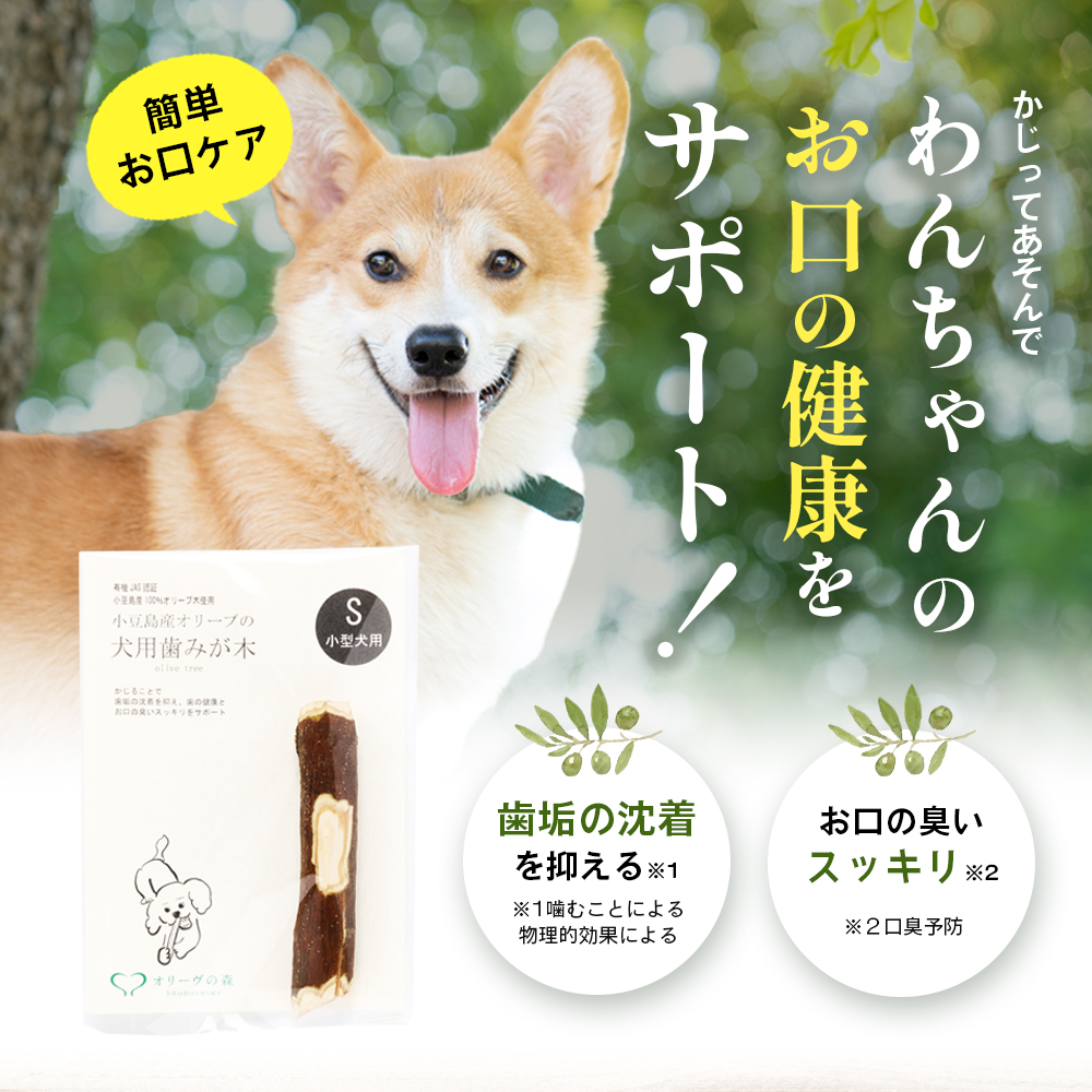 【 小豆島 】 小豆島産 オリーブの犬用はみが木 S(小型犬用) 1本入 ペット 健康 犬 いぬ イヌ 歯磨き 歯みがき ハミガキ オリーブ オリーブ木 犬用 小型犬 香川 香川県 土庄 土庄町