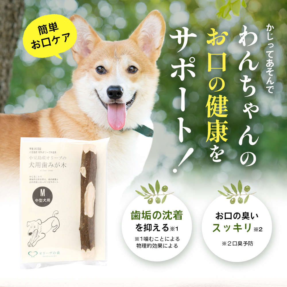 【 小豆島 】 小豆島産 オリーブの犬用はみが木 M(中型犬用) 3袋入 ペット 健康 犬 いぬ イヌ 歯磨き 歯みがき ハミガキ オリーブ オリーブ木 犬用 中型犬 香川 香川県 土庄 土庄町