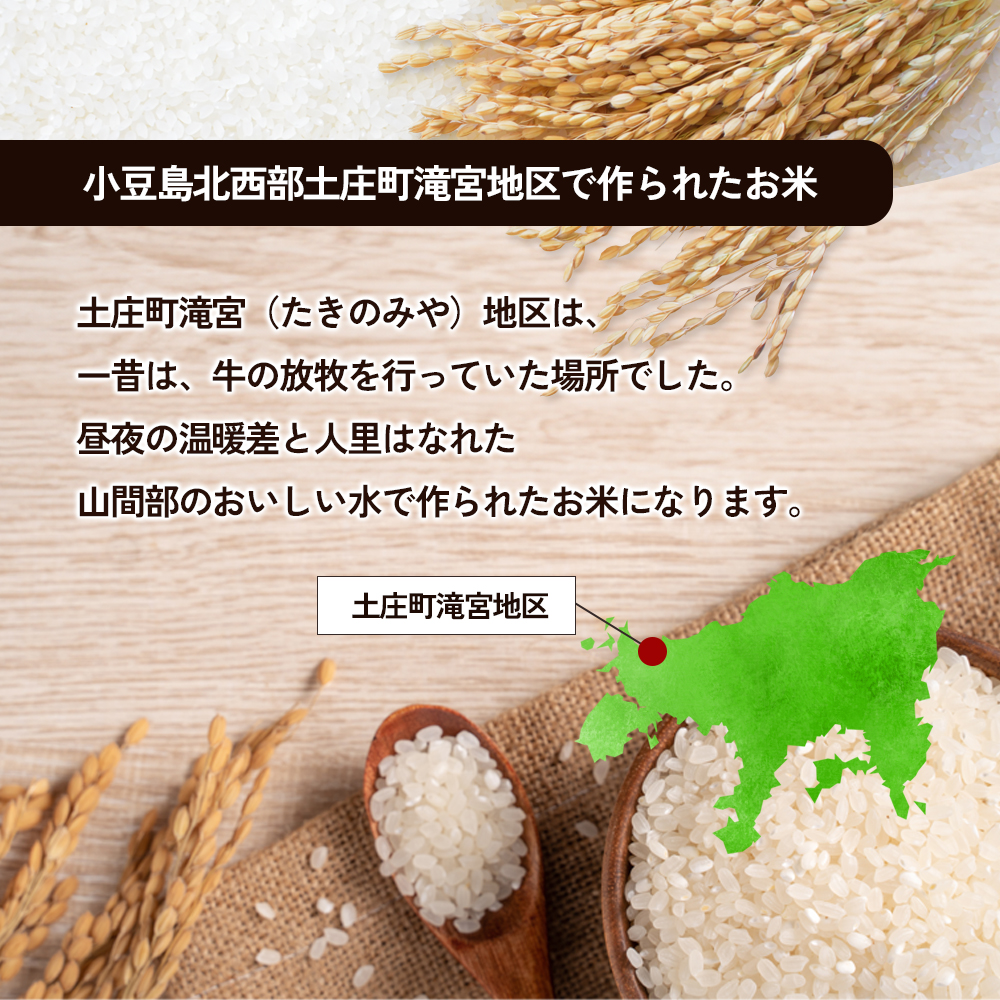 【 小豆島 】小豆島 滝宮で獲れたふっくらつやつや 小豆島産 コシヒカリ 5kg こしひかり お米 米 白米 精米 もっちり 甘み 香川 香川県 土庄 土庄町