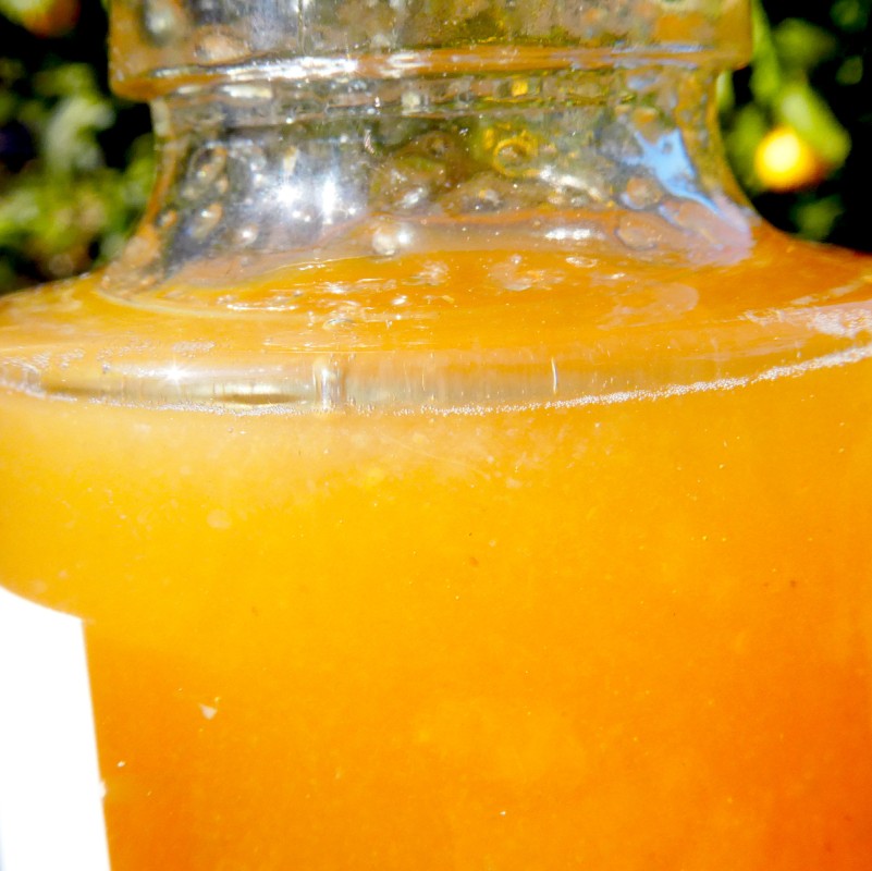 豊島レモン＆生姜シロップ 100ml×3本 果物類 柑橘類 檸檬 シロップ