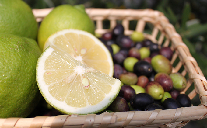 コシノジュンコ　小豆島産オリーブレモンドレッシング　2本セット