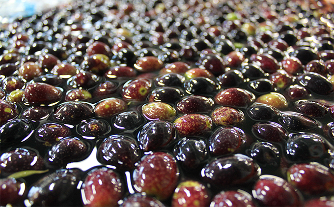 【 小豆島 】＜化粧用＞トレア　エメラルド　エキストラバージンオリーブオイル