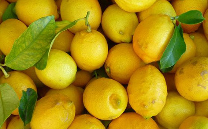 【 小豆島 】豊島レモン精油 果物類 柑橘類 檸檬