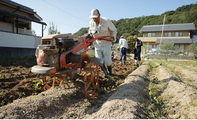【 小豆島 】小豆島のさつまいも【 紅あずま 約5kg 】 さつまいも サツマイモ 芋 いも イモ 野菜 甘い おやつ 軽食 5kg 国産 香川 香川県 土庄 土庄町