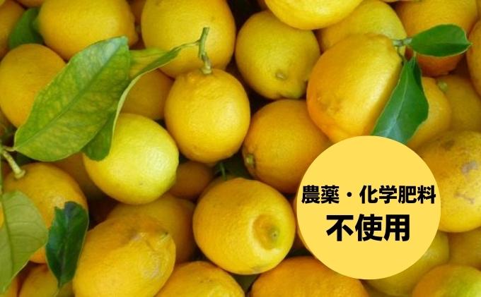 【 小豆島 】 豊島レモン サイダー 250ml 6本  檸檬 レモン 爽やか 飲料 ドリンク 豊島 香川 香川県 土庄 土庄町