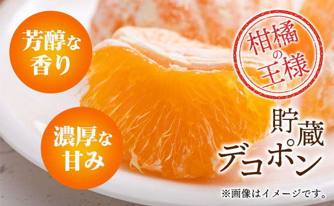 【県共通返礼品】貯蔵デコポン　約3kg化粧箱