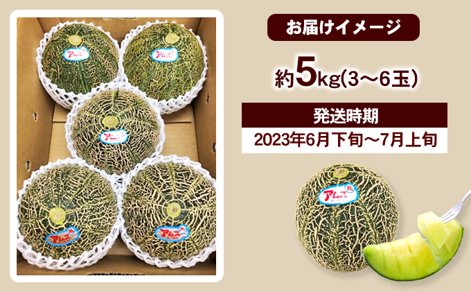【 小豆島 】小豆島 アムスメロン 約5kg 果物 フルーツ メロン めろん くだもの 国産 香川 香川県 土庄 土庄町