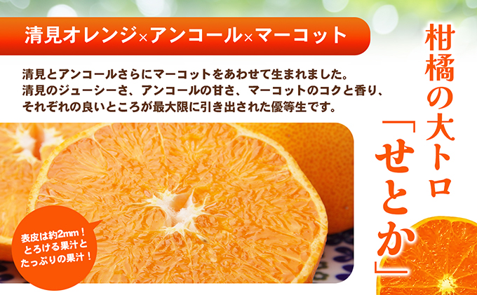 【 小豆島 】 ハウスせとか 約５kg 柑橘 せとか 瀬戸香 ハウス 果物 フルーツ くだもの 瀬戸内 くだもの 国産 香川 香川県 土庄 土庄町