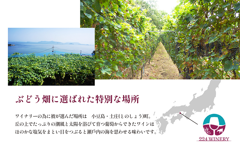 【 小豆島 】小豆島醸造 木樽熟成 メルロー 2023年 1本 化粧箱入り お酒 酒 ワイン 赤ワイン 熟成 香川 香川県 土庄 土庄町