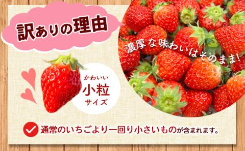 【 小豆島 】＜訳あり・小粒＞小豆島産　加工用いちご×2箱