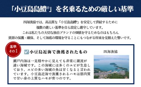 【 小豆島 】テレビで紹介されました！『小豆島島鱧』活け締め骨切り瞬間冷凍 新鮮 海の幸 ハモ