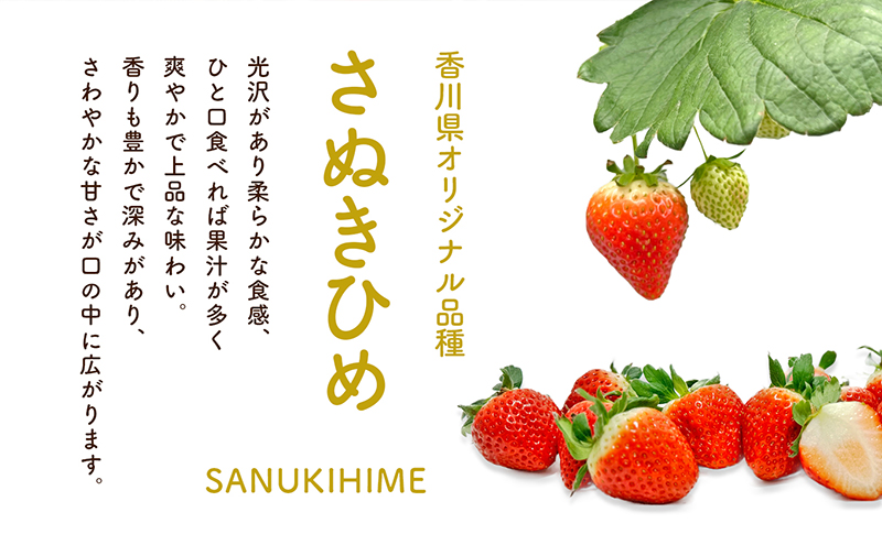 【 小豆島 】小豆島夕陽ヶ丘 いちご 2パック入り さぬきひめ 苺 イチゴ 果物 フルーツ 香川 香川県 土庄 土庄町