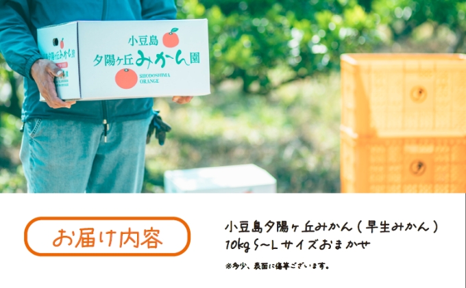 【 小豆島 】小豆島夕陽ヶ丘 みかん 10kg S～Lサイズ おまかせ 早生みかん 早生 蜜柑 ミカン 柑橘 香川 香川県 土庄 土庄町