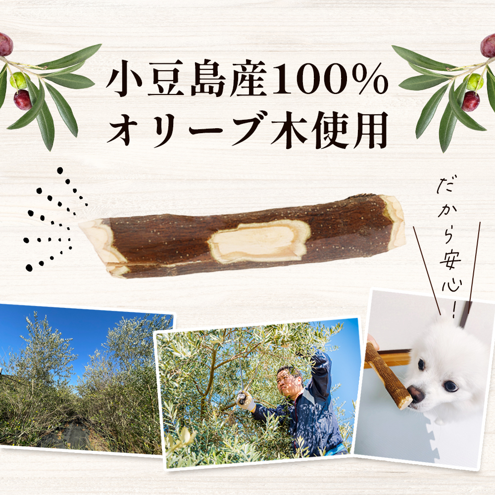 【 小豆島 】 小豆島産 オリーブの犬用はみが木 S(小型犬用) 1本入 ペット 健康 犬 いぬ イヌ 歯磨き 歯みがき ハミガキ オリーブ オリーブ木 犬用 小型犬 香川 香川県 土庄 土庄町