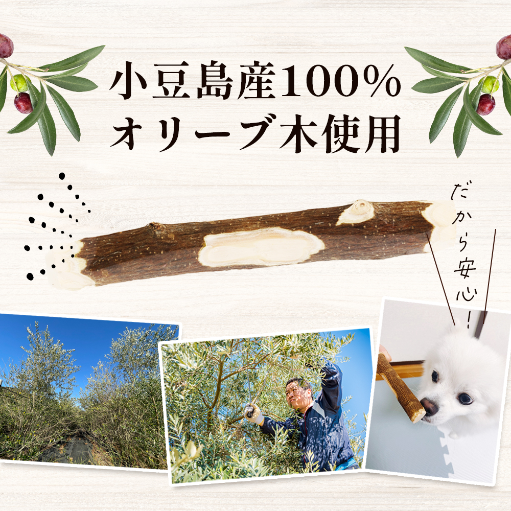 【 小豆島 】 小豆島産 オリーブの犬用はみが木 M(中型犬用) 1本入 ペット 健康 犬 いぬ イヌ 歯磨き 歯みがき ハミガキ オリーブ オリーブ木 犬用 中型犬 香川 香川県 土庄 土庄町