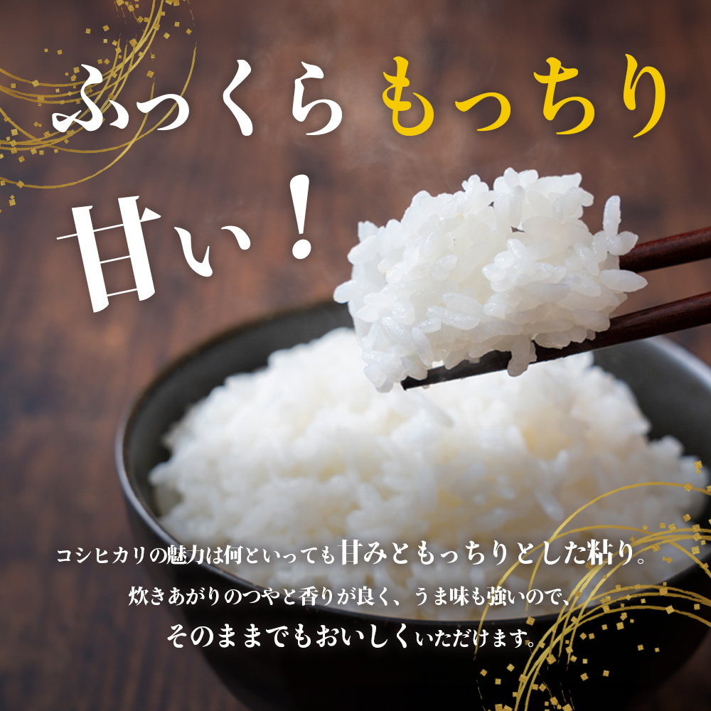 【 小豆島 】小豆島 滝宮で獲れたふっくらつやつや 小豆島産 コシヒカリ 5kg こしひかり お米 米 白米 精米 もっちり 甘み 香川 香川県 土庄 土庄町