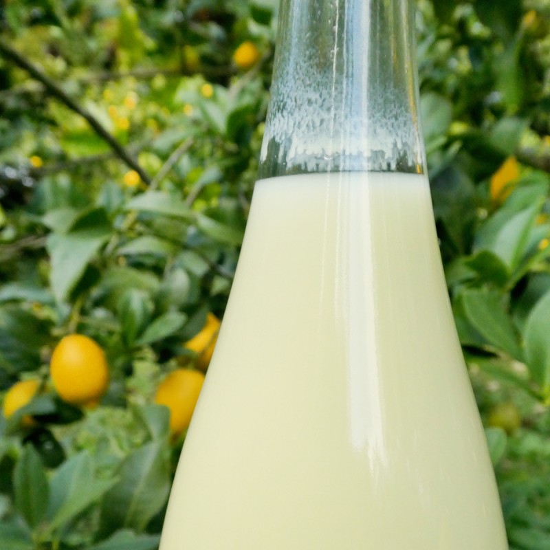 豊島レモン果汁 720ml×2本 果物類 柑橘類 檸檬