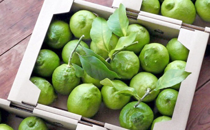 【 小豆島 】豊島グリーンレモン2.5キロ【10月下旬発送開始】