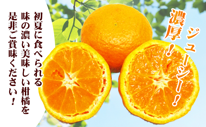 【 小豆島 】 南津海 （ なつみ ） みかん 約5kg 柑橘 ミカン 果物 フルーツ  越冬 完熟 くだもの 国産 香川 香川県 土庄 土庄町