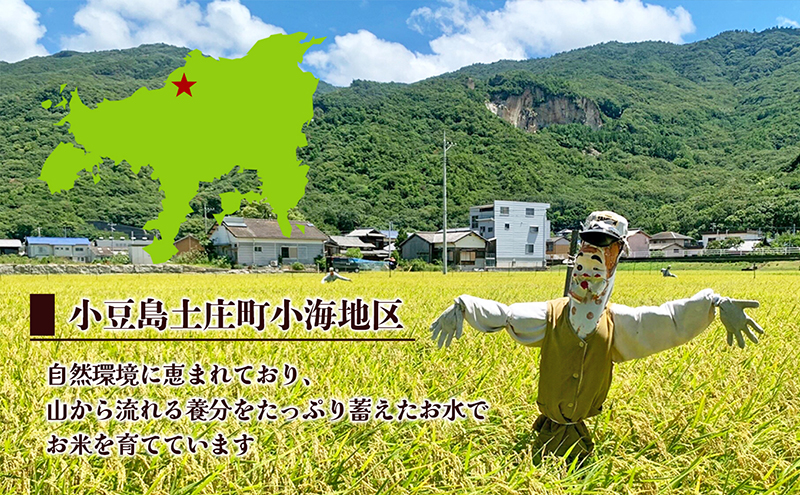 【 小豆島 】令和6年産新米 小豆島太閤 コシヒカリ 精白米 10kg（5kg×2袋）  お米 米 小豆島産 香川 香川県 土庄 土庄町