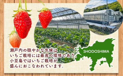 【 小豆島 】＜訳あり・小粒＞小豆島産　加工用いちご×2箱