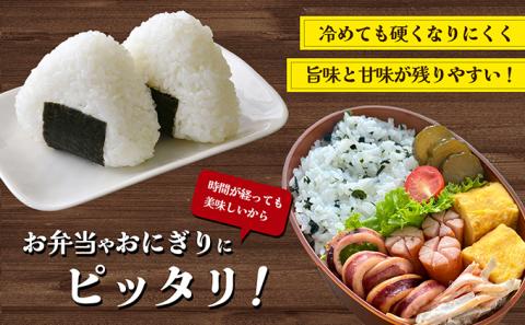 【 小豆島 】【令和7年産 】〈肥土山そだち〉香川県産コシヒカリ 5kg お米