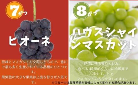 【 小豆島 】土庄町 ふるさと果実 12回 定期便 フルーツ 果物 季節 旬 キウイ キウイフルーツ デコポン 柑橘 いちご 苺 イチゴ 甘夏柑 びわ みかん 蜜柑 シャイン マスカット ぶどう 葡萄 くだもの 国産 香川 香川県 土庄 土庄町