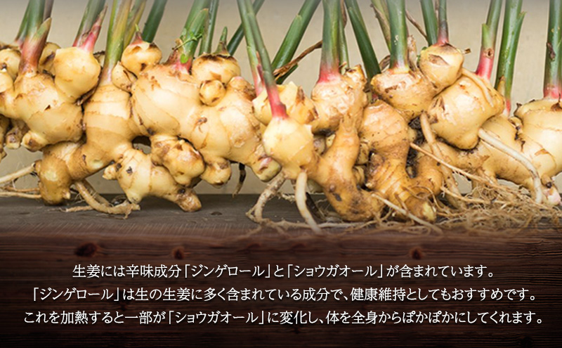 【 小豆島 】小豆島ジンジャーシロップ3本セット