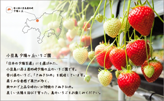 【 小豆島 】小豆島夕陽ヶ丘 いちご 2パック入り さぬきひめ 苺 イチゴ 果物 フルーツ 香川 香川県 土庄 土庄町