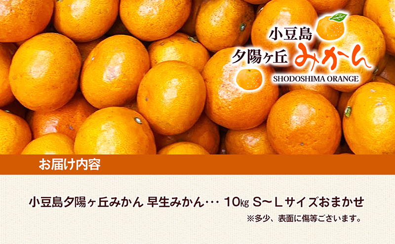 【 小豆島 】小豆島夕陽ヶ丘 みかん 10kg S～Lサイズ おまかせ 早生みかん 早生 蜜柑 ミカン 柑橘 香川 香川県 土庄 土庄町