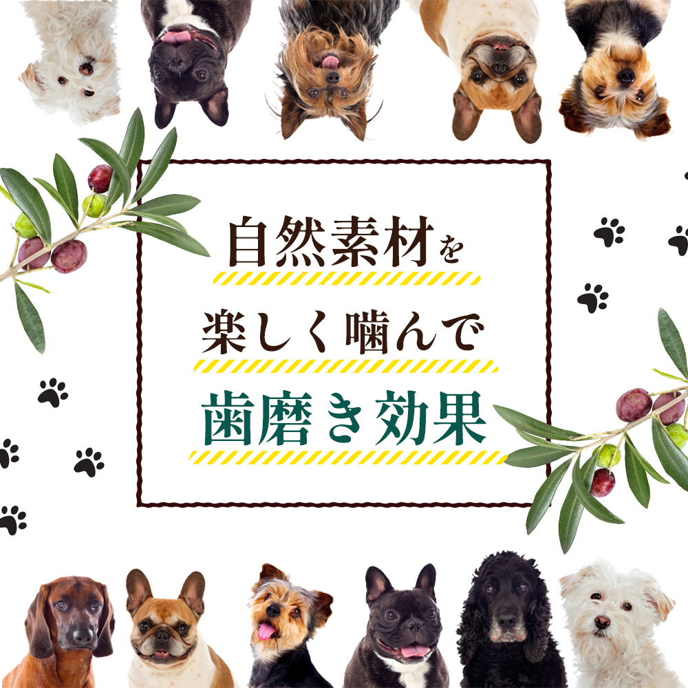 【 小豆島 】 小豆島産 オリーブの犬用はみが木 S(小型犬用) 1本入 ペット 健康 犬 いぬ イヌ 歯磨き 歯みがき ハミガキ オリーブ オリーブ木 犬用 小型犬 香川 香川県 土庄 土庄町