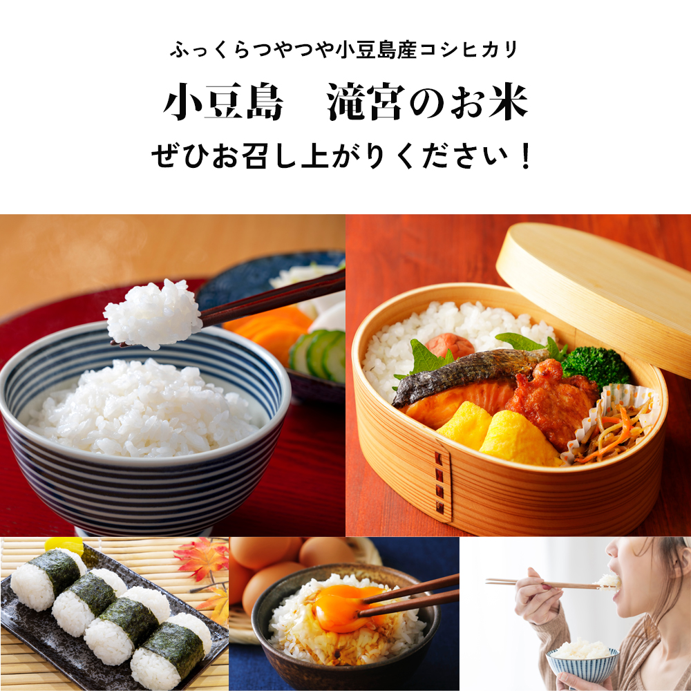 【 小豆島 】小豆島 滝宮で獲れたふっくらつやつや 小豆島産 コシヒカリ 5kg こしひかり お米 米 白米 精米 もっちり 甘み 香川 香川県 土庄 土庄町