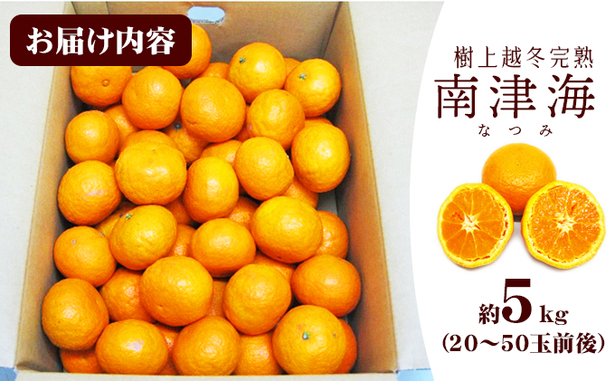 【 小豆島 】 南津海 （ なつみ ） みかん 約5kg 柑橘 ミカン 果物 フルーツ  越冬 完熟 くだもの 国産 香川 香川県 土庄 土庄町
