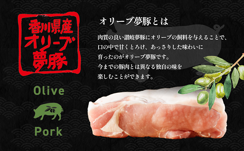 【 小豆島 】小豆島製麺所のおやじが造ったカレーうどんの素 ３個セット（３人前） うどん 饂飩 ウドン カレーうどん カレー 素 レトルト レトルト食品 うどんつゆ つゆ 和風だし 香川 香川県 土庄 土庄町