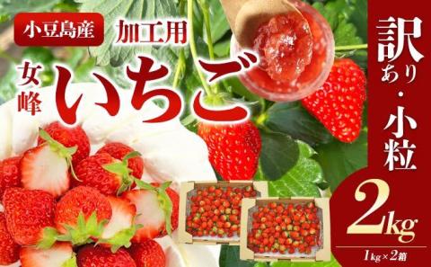 【 小豆島 】＜訳あり・小粒＞小豆島産　加工用いちご×2箱
