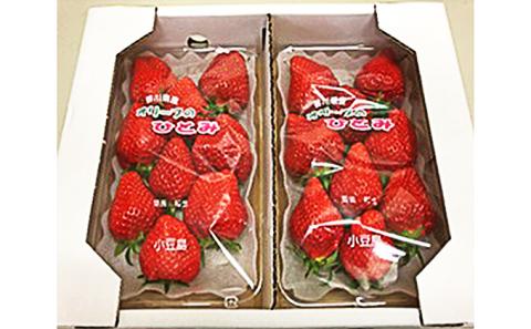 【 小豆島 】小豆島のいちご（女峰）DXパック［ 250ｇ×２パック］ 果物類 苺 イチゴ