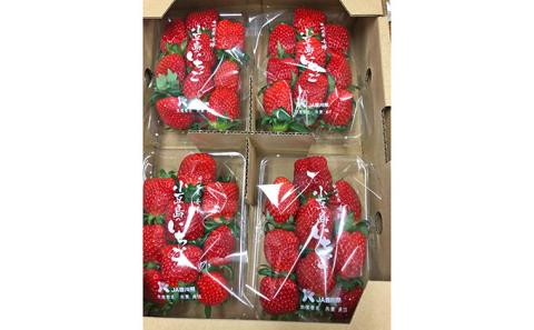 【 小豆島 】【3月からの発送】小豆島のいちご（女峰）230g×4パック 果物類 苺 イチゴ