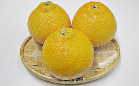 【 小豆島 】小豆島 ハウスデコポン 約5kg みかん 柑橘類 果物類 フルーツ