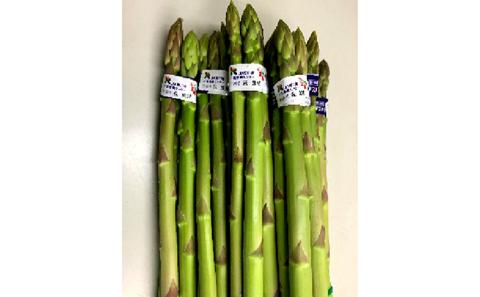 【 小豆島 】香川のアスパラ【さぬきのめざめ】春芽 約1kg アスパラガス 野菜