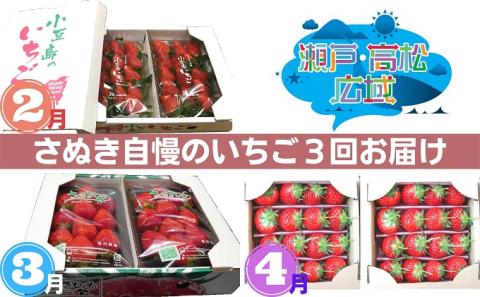 【 小豆島 】「瀬戸・たかまつネットワーク」いちご食べ比べ3ヵ月定期便