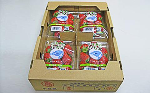 【 小豆島 】小豆島のいちご（女峰）4パック 果物類 苺 イチゴ