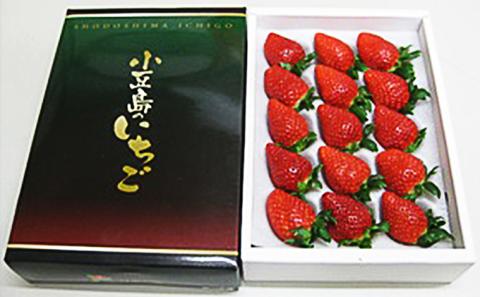 【 小豆島 】小豆島のいちご（女峰）400g 化粧箱入り 果物類 苺 イチゴ