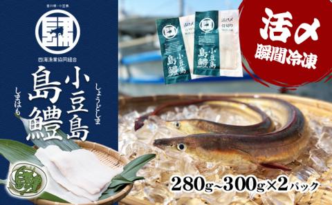 【 小豆島 】テレビで紹介されました！『小豆島島鱧』活け締め骨切り瞬間冷凍 新鮮 海の幸 ハモ