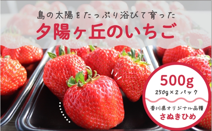 【 小豆島 】小豆島夕陽ヶ丘 いちご 2パック入り さぬきひめ 苺 イチゴ 果物 フルーツ 香川 香川県 土庄 土庄町