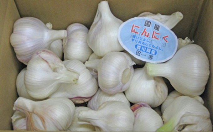 【 小豆島 】島育ち！生にんにく（新物）約２kg 野菜 根菜