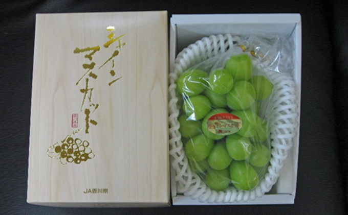 【 小豆島 】島育ち！ハウスシャインマスカット　1房化粧箱入り 600g以上