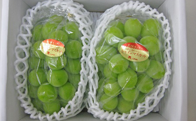 【 小豆島 】島育ち！ハウスシャインマスカット　2房入り 約1.1kg