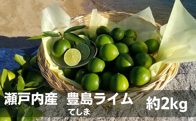 【 小豆島 】 瀬戸内産 豊島ライム 約2kg 柑橘 爽やか 豊島 瀬戸内 香川 香川県 土庄 土庄町